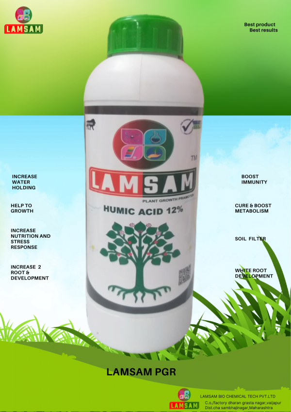 lamsam pgr